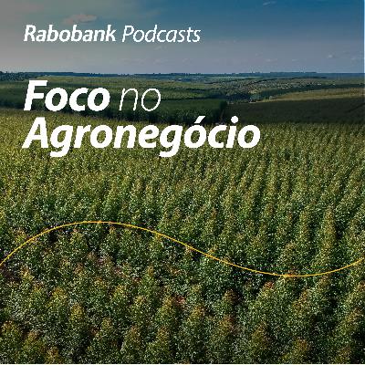 Celulose brasileira posicionada para crescer no mercado Americano