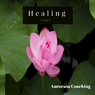 TIBET - Brainwave Entrainment for Healing and Recovery TIBET - Brainwave Entrainment for Healing and Recovery