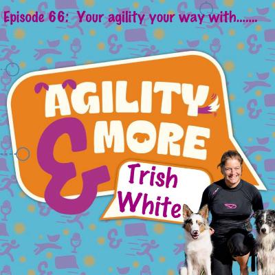 E66 Your Agility... Your Way with Trish White