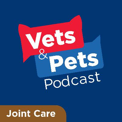 #4 Joint: A look at the causes, signs and symptoms of osteoarthritis in pets