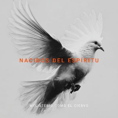 Nacidos del Espíritu Nacidos del Espíritu