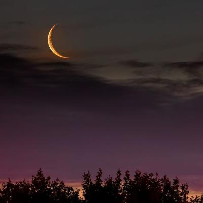 Adiós/Adioses- Mario Benedetti. Adiós/Adioses- Mario Benedetti.