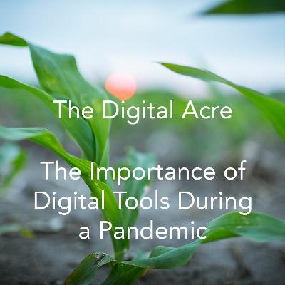The Importance of Digital Tools During a Pandemic