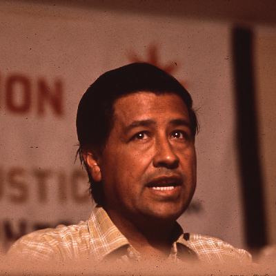 Cesar Chavez biographer on rape, sexual assault allegations Cesar Chavez biographer on rape, sexual assault allegations