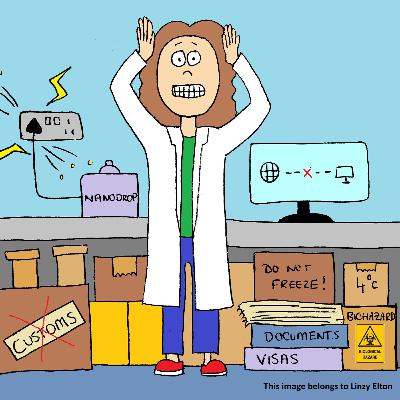 Learning to embrace the blips: the highs and lows of running workshops and how problems are lessons in themselves
