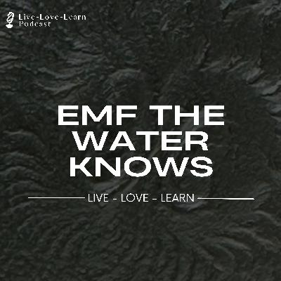 #132 EMF – The Water Knows | Whole House Protection with the Atom Pulse #132 EMF – The Water Knows | Whole House Protection with the Atom Pulse