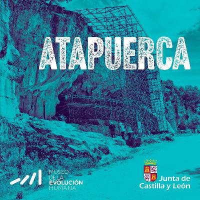Episodio 1: El zarpazo de la curiosidad Episodio 1: El zarpazo de la curiosidad
