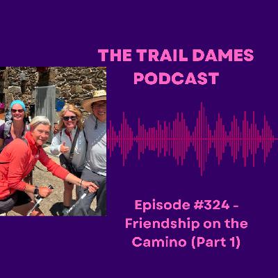 Episode #324 - Friendship on the Camino (Part 1)