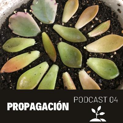 04 Propagación | Preguntas frecuentes
