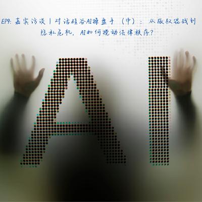 EP9: 嘉宾访谈｜对话硅谷AI操盘手（中）：从版权混战到隐私危机，AI如何搅动法律秩序？