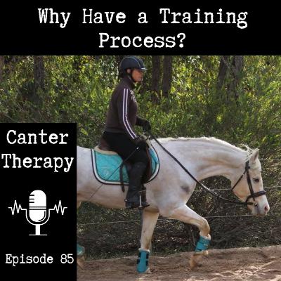 85: Why Have a Training Process?