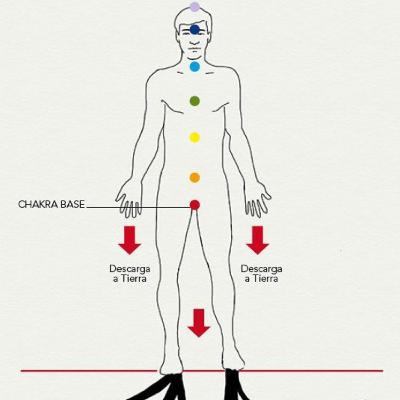 ENRAIZARSE EN TIERRA