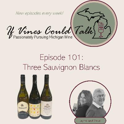 Episode 101: Sauvignon Blanc Blind Tasting
