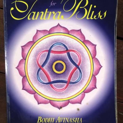 Vanessa reads chapter 5 -Returning Energy to the Flow - Balancing Mental & Emotional Bodies Vanessa reads chapter 5 -Returning Energy to the Flow - Balancing Mental & Emotional Bodies
