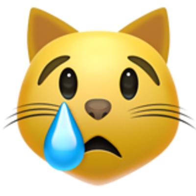 Crying Cat