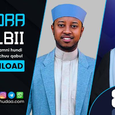 RNH 841, January 1, 2024 Soora Qalbii