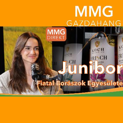 Fiatal borászok nagy tapasztalattal | Koch Pálma, a Junibor – Fiatal Borászok Egyesületének elnöke (179)