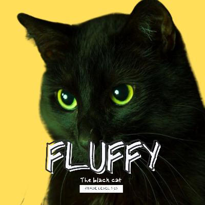 Fluffy: The Black Cat Fluffy: The Black Cat