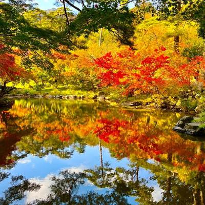 11月10日　弥彦行ってきました⛩️自分が変われば相手も変わるを実感！