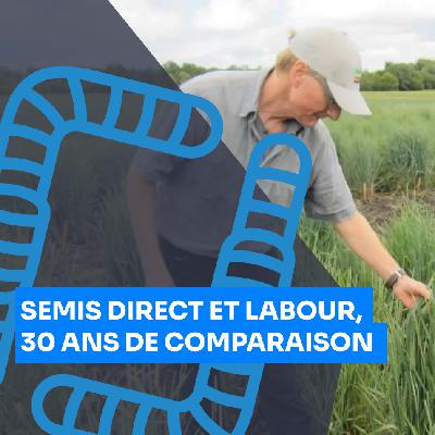 Semis-direct et labour, 30 ans de comparaison : rendements, gestion de l’azote,... , Wolfgang Sturny