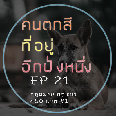 Gratitude is the Pursuit: David Meltzer on Earning the Right to Succeed