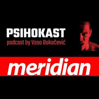#28 PSIHOKAST: Vuk Mob - Komentari su me pogađali dok nisam počeo da zarađujem lovu!