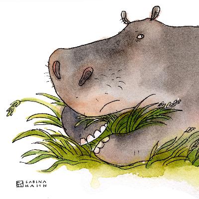 Encore: Hungry Hippo