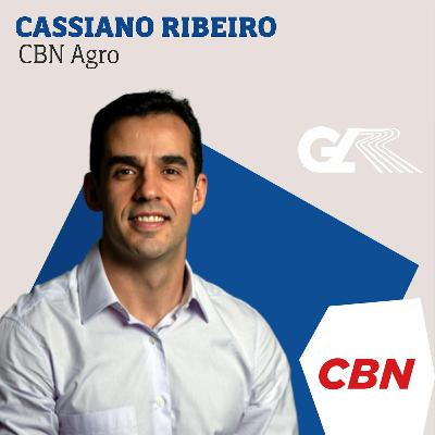 As estratégias do agro para reverter tarifas de Trump