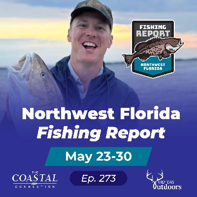 Live Bottom Heating Up, Memorial Day Inshore Artificials, Better Fish Photos