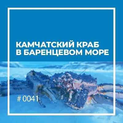 Камчатский краб в Баренцевом море Камчатский краб в Баренцевом море
