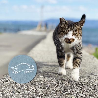 强风吹拂Mixtape,跑五条街买两碗咖喱饭 强风吹拂Mixtape,跑五条街买两碗咖喱饭