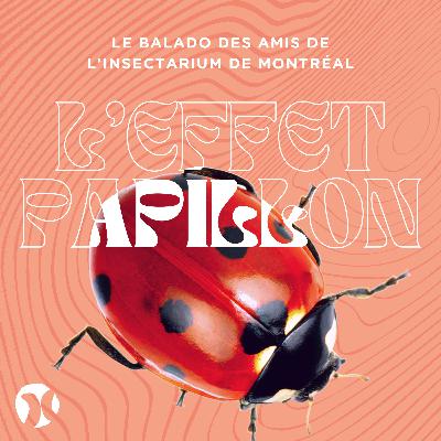 2. L'extravagante biodiversité des coccinelles 🐞🌹