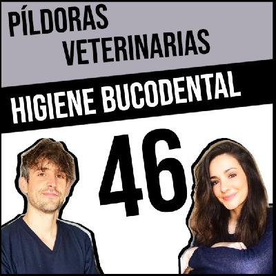 46. Higiene bucodental y limpiezas de boca en #perros y #gatos