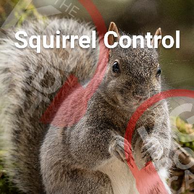 Episode 27: Squirrel Control
