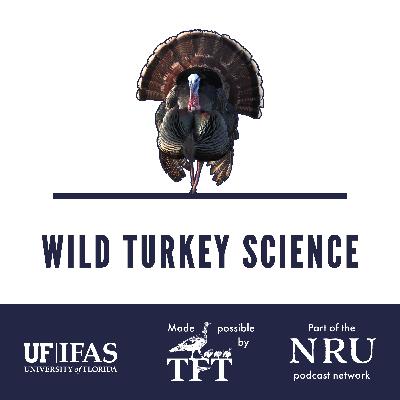 Turning sunlight into gobblers | Wild Turkey Science #468