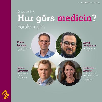 Hur görs medicin? – Forskningen