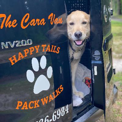 Professional Dog Training Service in Marlton