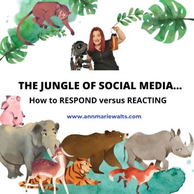 The Jungle of Social Media - How To Respond versus Reacting by Ann Marie Walts - Internet Marketing Coach and High-End Hairstylist The Jungle of Social Media - How To Respond versus Reacting by Ann Marie Walts - Internet Marketing Coach and High-End Hairstylist