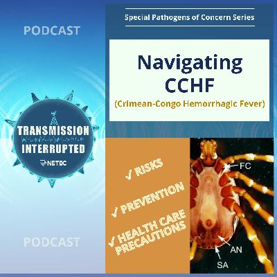 Navigating CCHF: Risks, Prevention, and Health Care Precautions