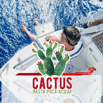 Cactus #20 - La rivincita del Sud - 11/02/2021 Cactus #20 - La rivincita del Sud - 11/02/2021