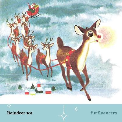 How Reindeer Upstaged Santa and Took Over Christmas