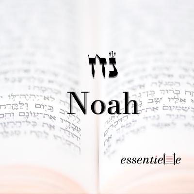 5786 - Noah: Sors de ta bulle ! 5786 - Noah: Sors de ta bulle !