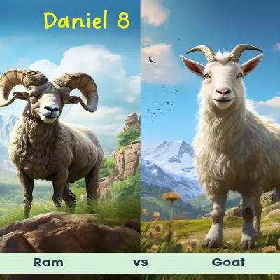 Ram vs. Goat Ram vs. Goat