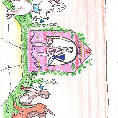 La fitoterapia di Kiwi