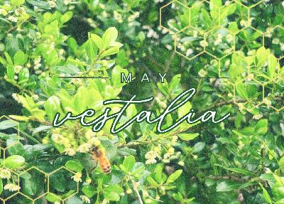 Taurus Reflections and Gemini Anticipations | MAY VESTALIA Taurus Reflections and Gemini Anticipations | MAY VESTALIA