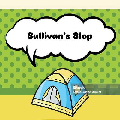 So we wrote a Sullivan's Crossing episode...
