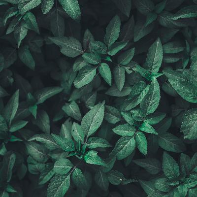 Como manejar la ansiedad y depresión