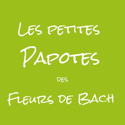 Papote 17 : J'y arriverai jamais