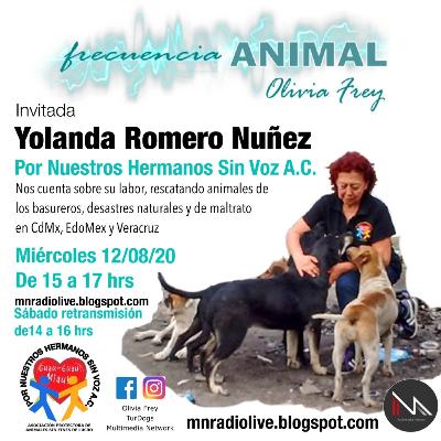 FRECUENCIA ANIMAL 17 CON OLIVIA FREY, INVITADA YOLANDA ROMERO DE POR NUESTROS HERMANOS SIN VOZ A.C.