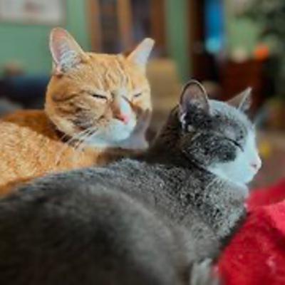 Episode 3035 CWSA 12/03/25 Episode 3035 CWSA 12/03/25